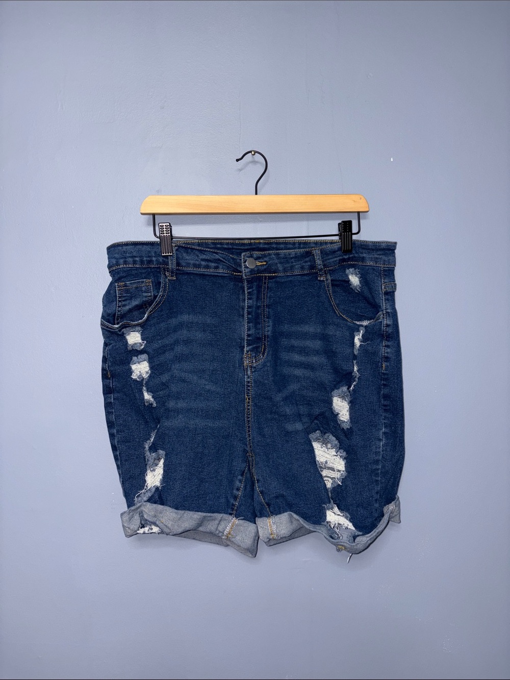 Distressed Jean Shorts